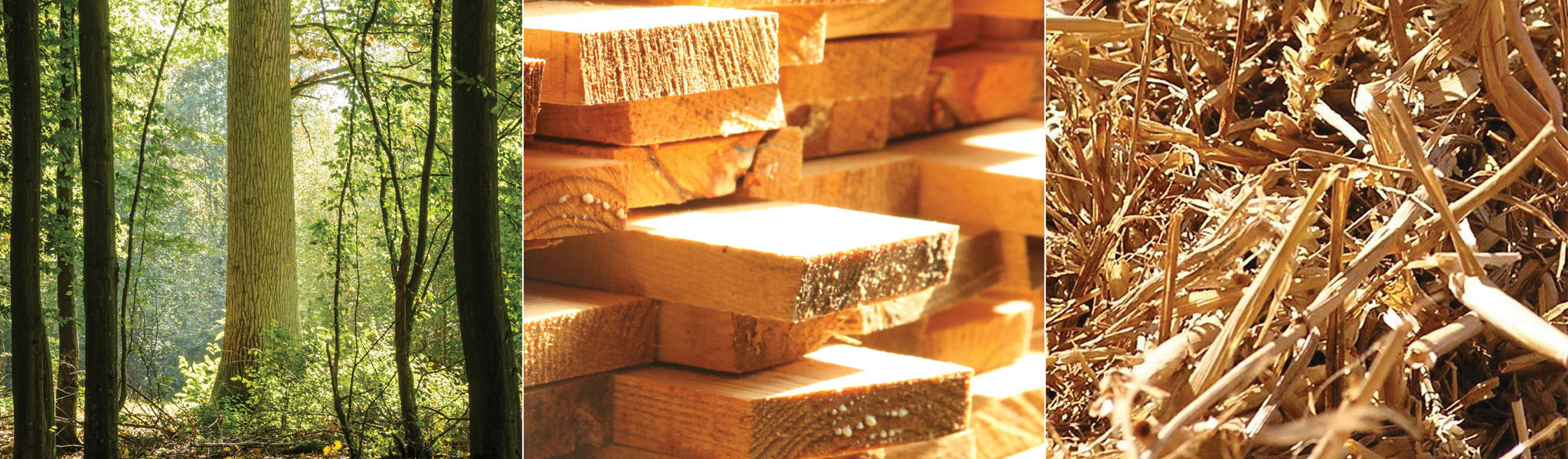 Maison du Bois de des Biosourcés - Construction bois-biosourcés