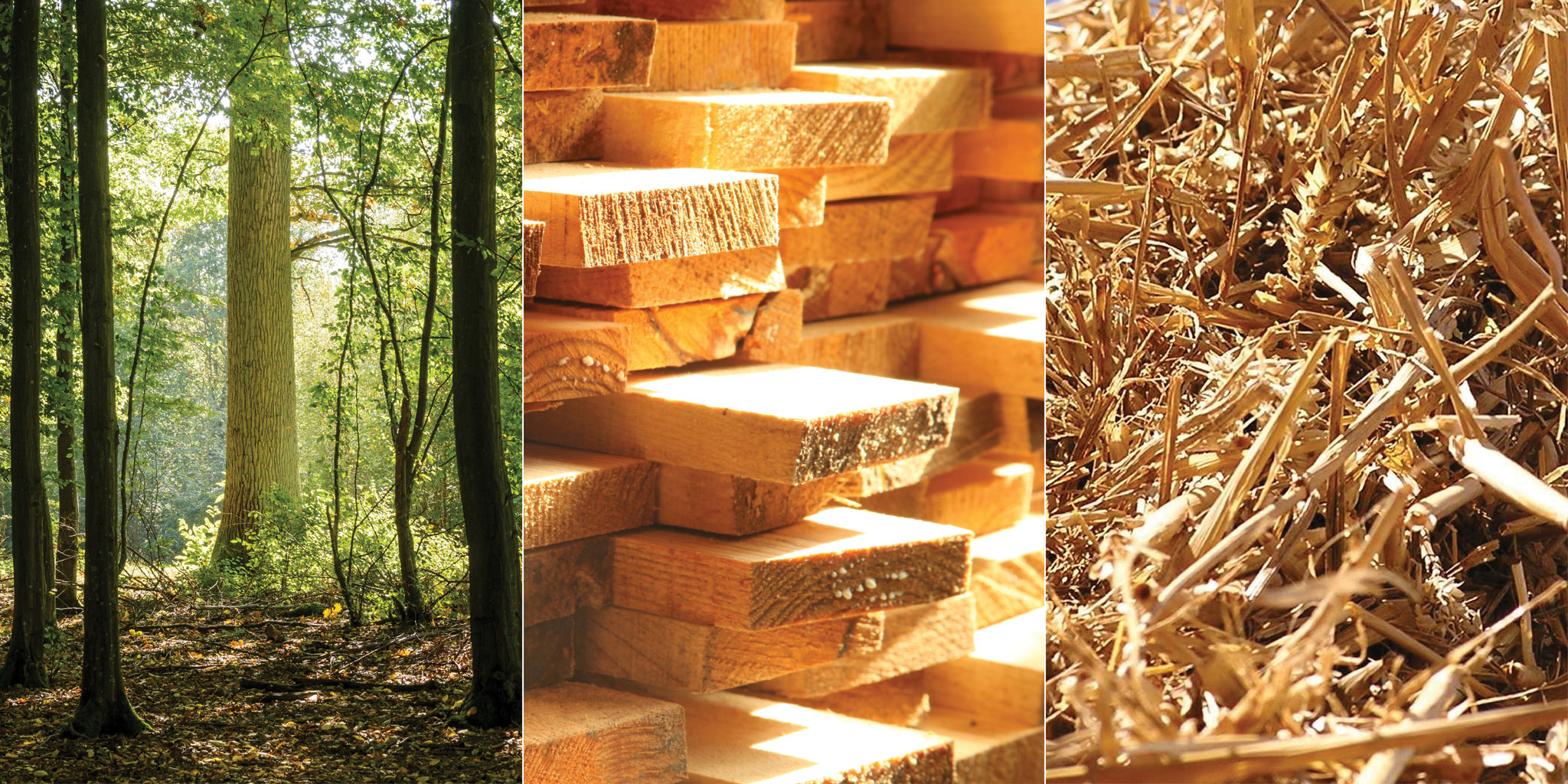 Maison du Bois de des Biosourcés - Construction bois-biosourcés