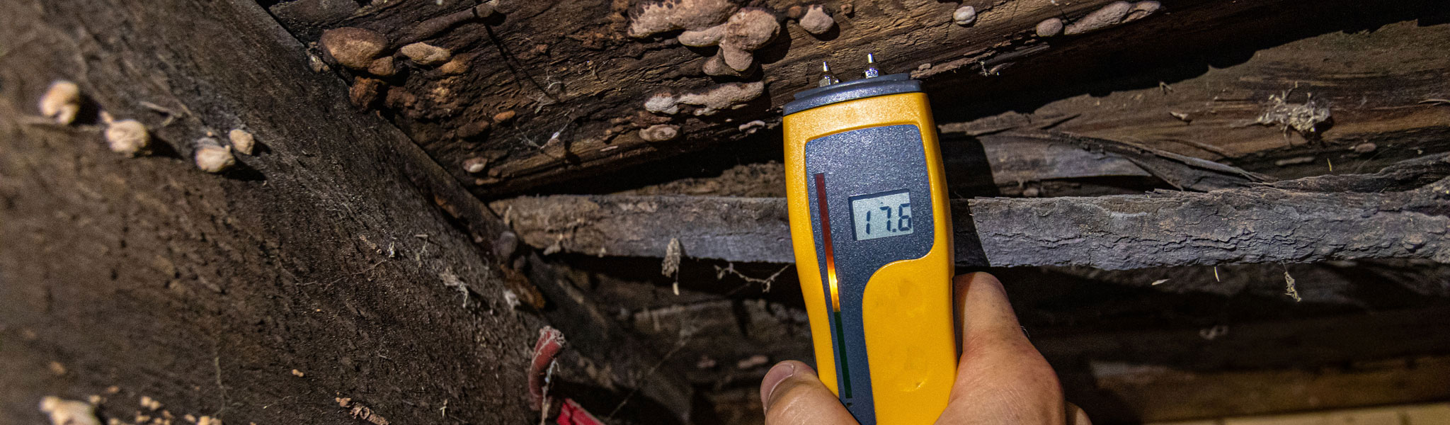 Maison du Bois de des Biosourcés - Audit - Diagnostic de Sinistre